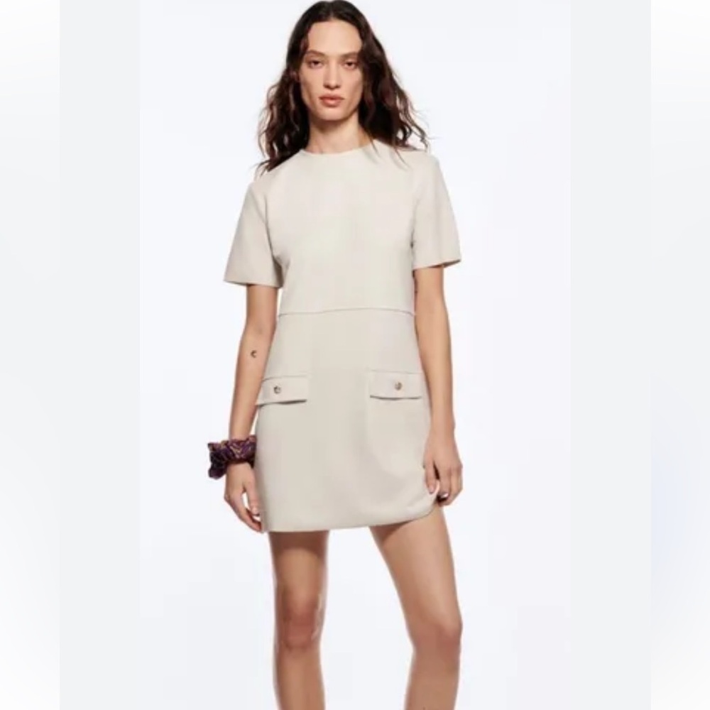 Zara Faux Suède Dress